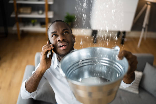 Best Ceiling water damage repair  in Stacy, MN