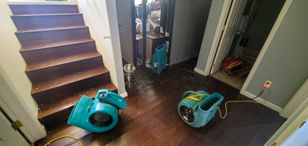 Best Residential water damage restoration  in Stacy, MN