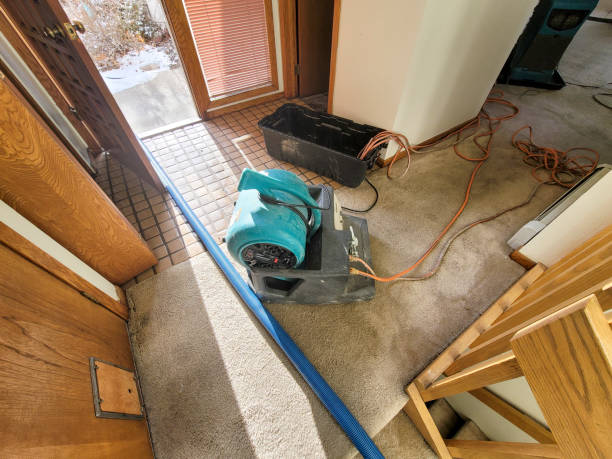 Best Carpet water damage restoration  in Stacy, MN