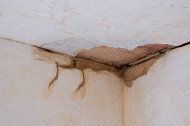 Best Emergency water damage restoration  in Stacy, MN