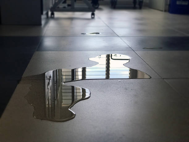 Best Water damage restoration specialists  in Stacy, MN