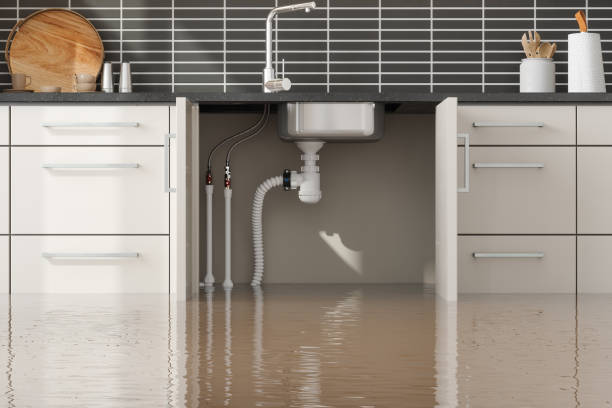 Best Professional water damage repair  in Stacy, MN