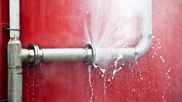 Best Flood restoration services  in Stacy, MN