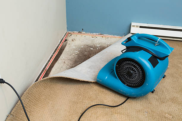 Best Sewage cleanup and water damage restoration  in Stacy, MN